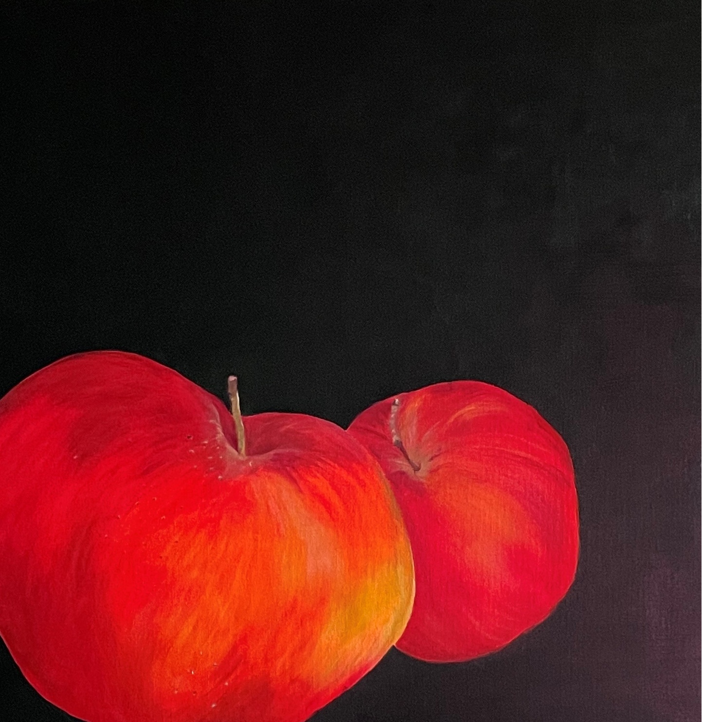 Zwei Äpfel, 60 x 60 cm 